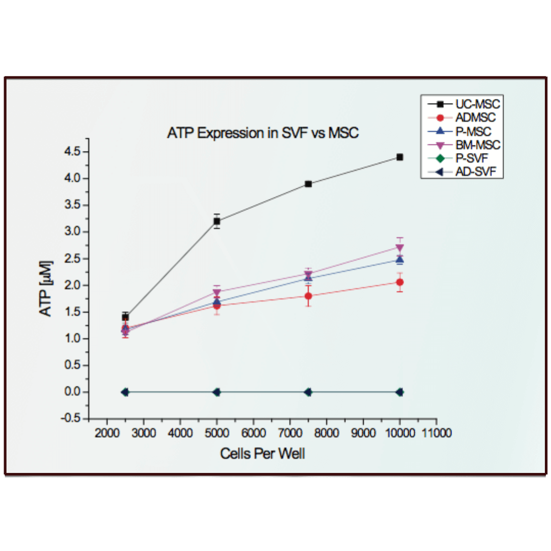 InfiniVive Exosome Serum Potency